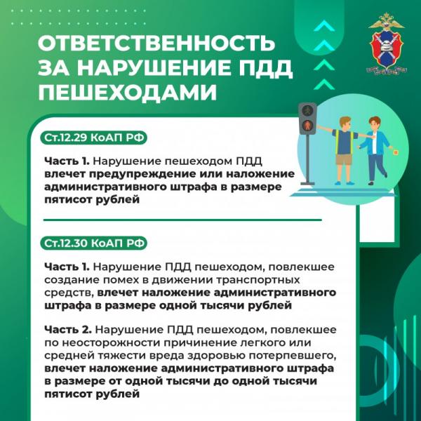 MediaproektPeshehody1-6.jpg