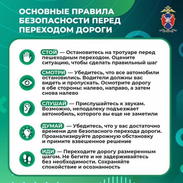 MediaproektPeshehody1-6.jpg