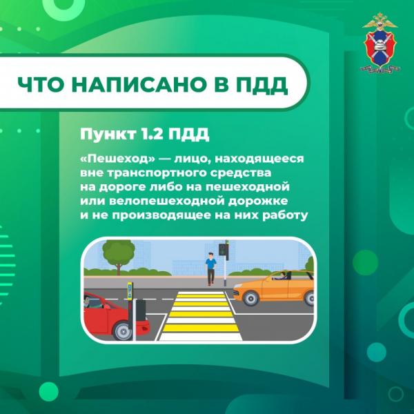 MediaproektPeshehody1-6.jpg