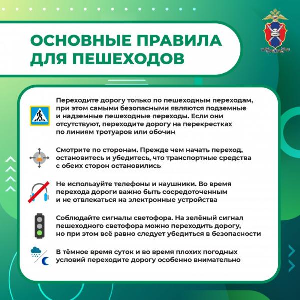 MediaproektPeshehody1-6.jpg