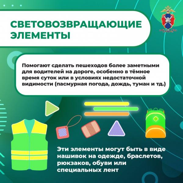 MediaproektPeshehody1-6.jpg