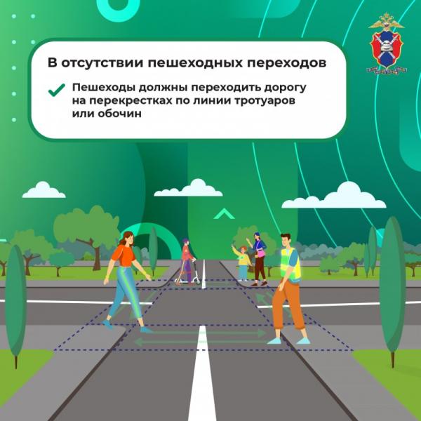 MediaproektPeshehody1-6.jpg